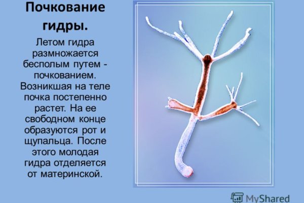 Пополнить кошелек кракен