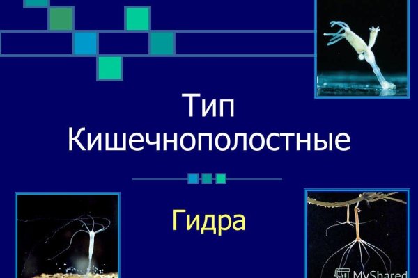 Ссылки на кракен мегу
