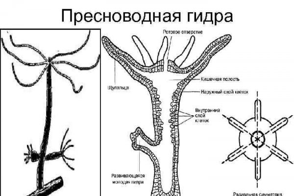 Ссылка на кракен на сегодня