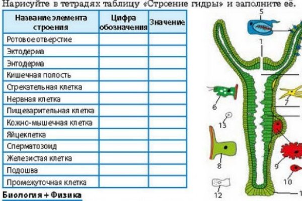 Кракен современный даркнет маркетплейс