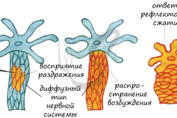 Рабочие ссылки и зеркала кракен